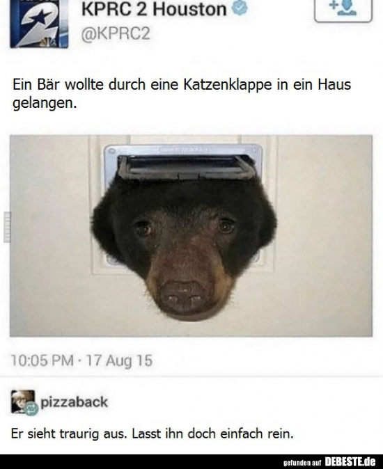 Ein Bär wollte durch eine Katzenklappe in ein Haus.. - Lustige Bilder | DEBESTE.de