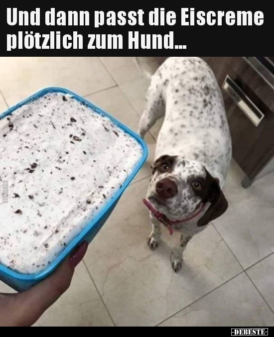 Und dann passt die Eiscreme plötzlich zum Hund... - Lustige Bilder | DEBESTE.de