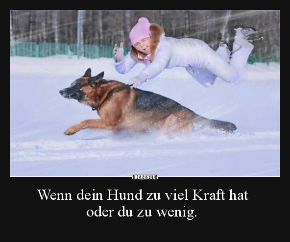 Wenn dein Hund zu viel Kraft hat oder du zu wenig... - Lustige Bilder | DEBESTE.de