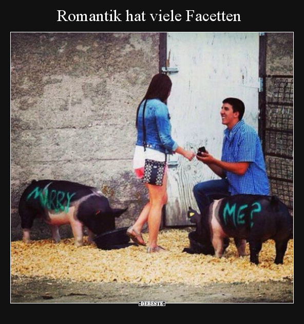 Romantik hat viele Facetten.. - Lustige Bilder | DEBESTE.de