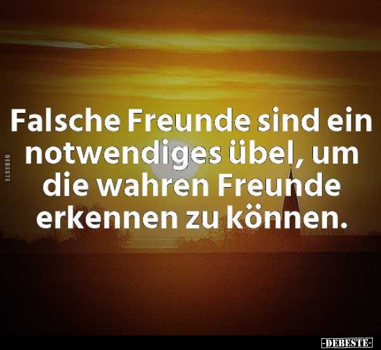 Falsche Freunde sind ein notwendiges übel, um die wahren.. - Lustige Bilder | DEBESTE.de