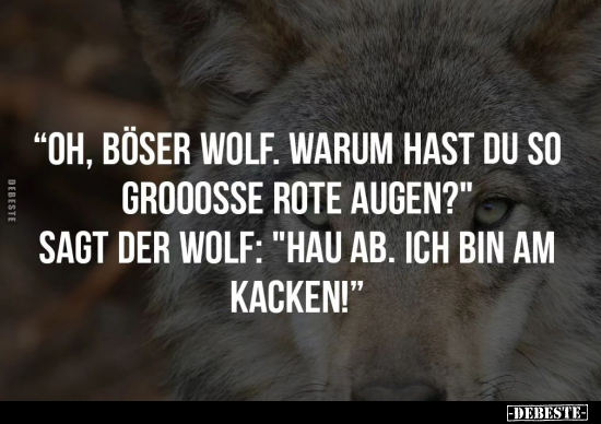 "Oh! Böser Wolf! Warum hast du so große rote Augen"?.. - Lustige Bilder | DEBESTE.de
