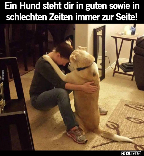 Ein Hund steht dir in guten sowie in schlechten Zeiten.. - Lustige Bilder | DEBESTE.de