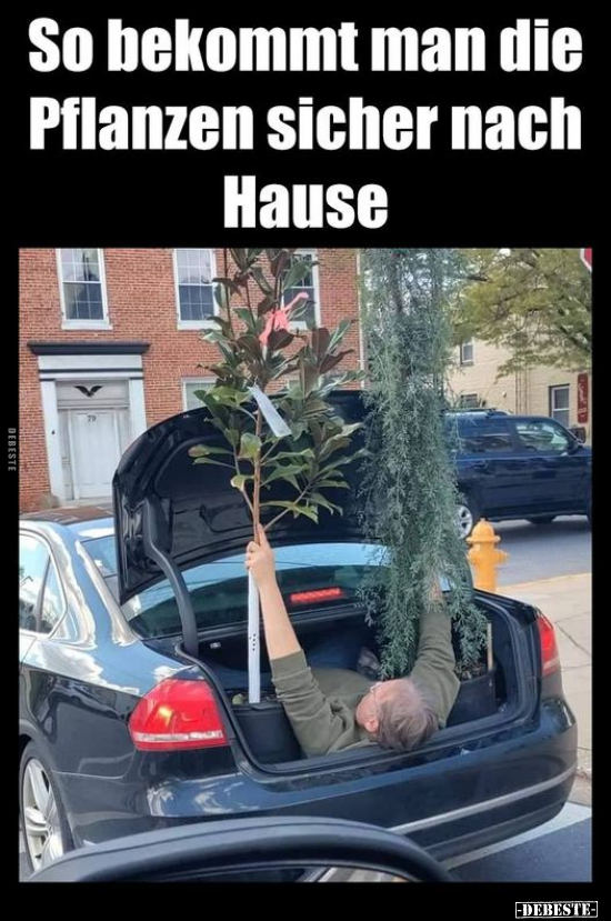 So bekommt man die Pflanzen sicher nach Hause.. - Lustige Bilder | DEBESTE.de