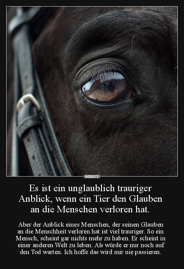 Es ist ein unglaublich trauriger Anblick, wenn ein Tier.. - Lustige Bilder | DEBESTE.de