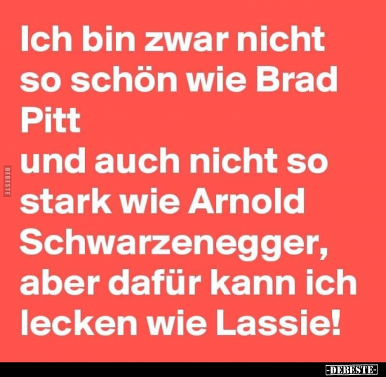 Ich bin zwar nicht so schön wie Brad Pitt und auch nicht so stark wie Arnold.. - Lustige Bilder | DEBESTE.de