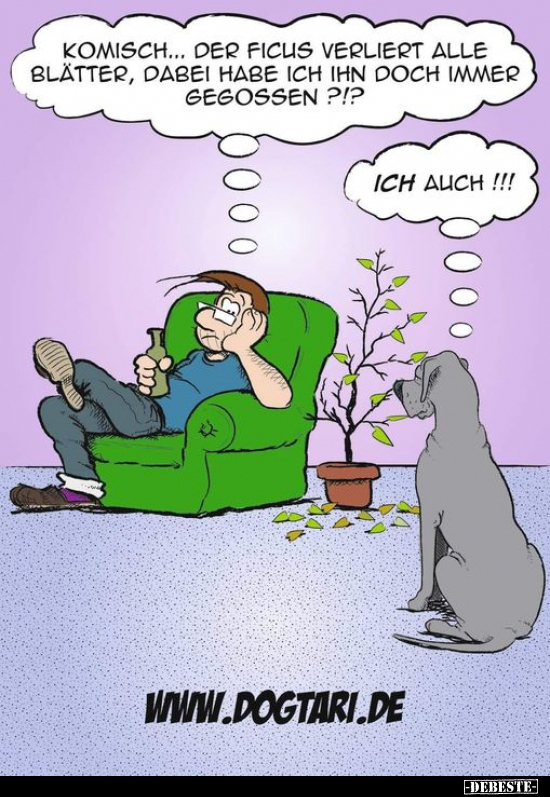 Komisch... Der Ficus verliert alle Blätter.. - Lustige Bilder | DEBESTE.de
