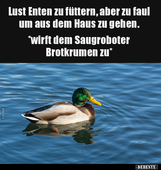 Lust Enten zu füttern, aber zu faul um aus dem Haus.. - Lustige Bilder | DEBESTE.de