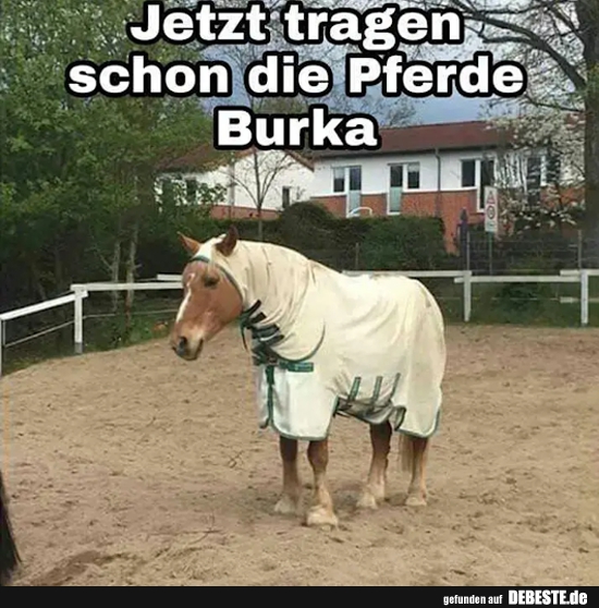 Jetzt tragen schon die Pferde Burka.. - Lustige Bilder | DEBESTE.de