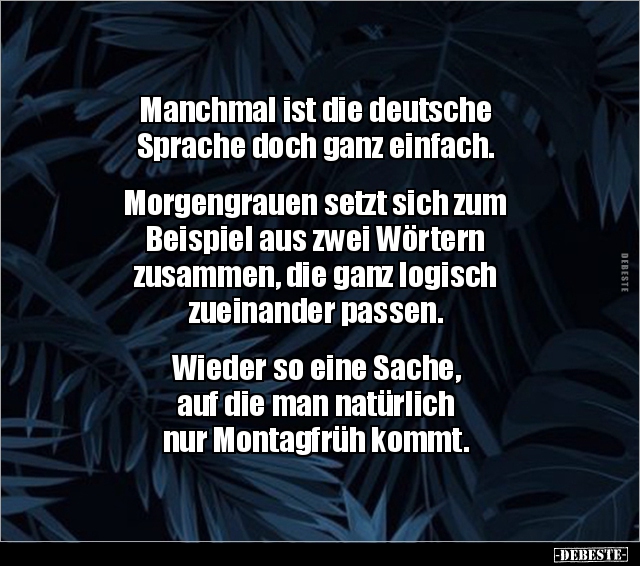Manchmal ist die deutsche Sprache doch ganz.. - Lustige Bilder | DEBESTE.de