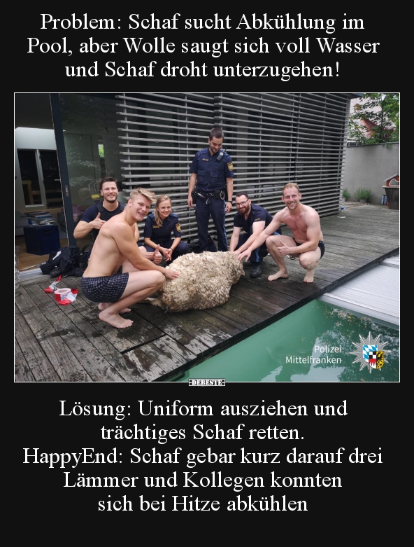 Problem: Schaf sucht Abkühlung im Pool, aber Wolle saugt.. - Lustige Bilder | DEBESTE.de