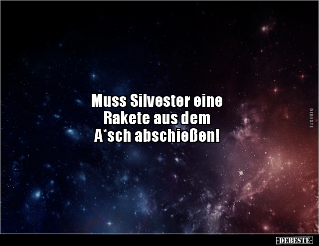 Muss Silvester eine Rakete aus dem A*sch.. - Lustige Bilder | DEBESTE.de