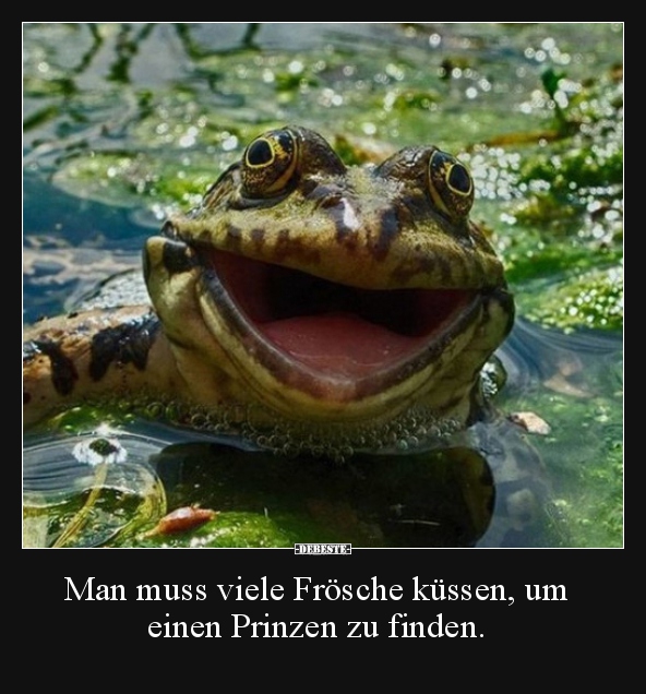 Man muss viele Frösche küssen, um einen Prinzen zu finden... - Lustige Bilder | DEBESTE.de