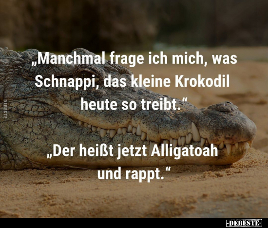 "Manchmal frage ich mich, was Schnappi, das kleine Krokodil.." - Lustige Bilder | DEBESTE.de