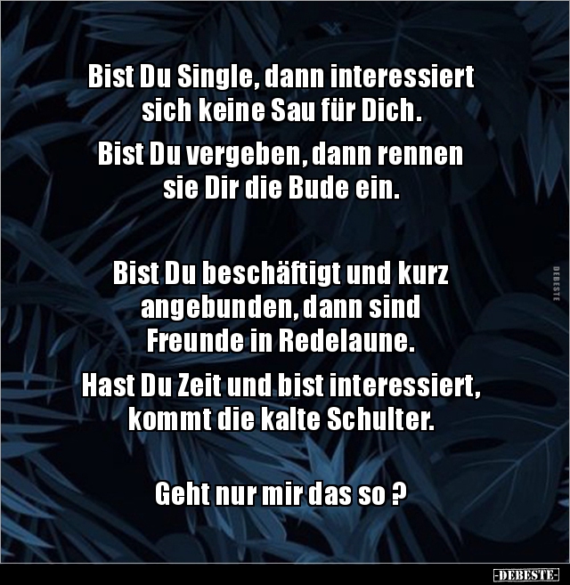 Bist Du Single, dann interessiert sich keine Sau für.. - Lustige Bilder | DEBESTE.de