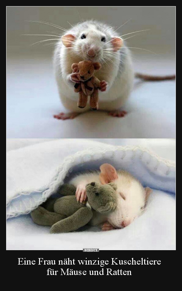 Eine Frau näht winzige Kuscheltiere für Mäuse und Ratten.. - Lustige Bilder | DEBESTE.de