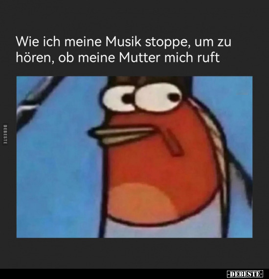 Wie ich meine Musik stoppe, um zu hören, ob.. - Lustige Bilder | DEBESTE.de