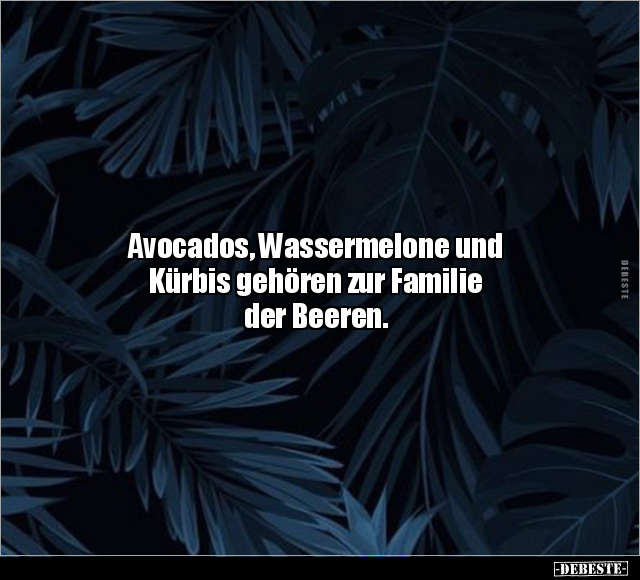 Avocados, Wassermelone und Kürbis gehören zur Familie der.. - Lustige Bilder | DEBESTE.de