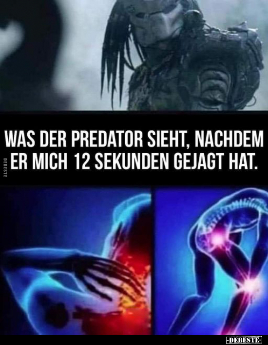 Was der Predator sieht, nachdem er mich 12 Sekunden gejagt.. - Lustige Bilder | DEBESTE.de