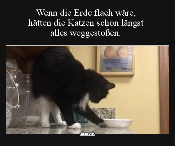 Wenn die Erde flach wäre, hätten die Katzen schon längst.. - Lustige Bilder | DEBESTE.de