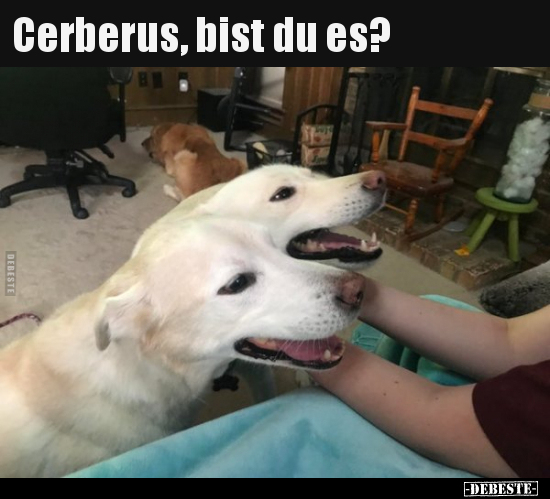 Cerberus, bist du es?.. - Lustige Bilder | DEBESTE.de