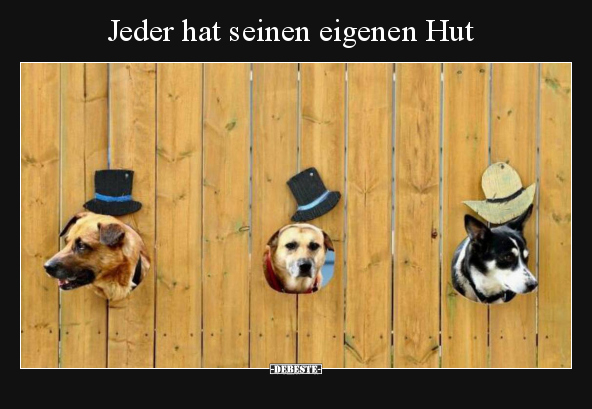 Jeder hat seinen eigenen Hut.. - Lustige Bilder | DEBESTE.de