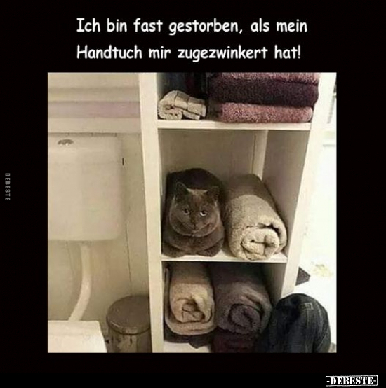 Ich bin fast gestorben, als mein Handtuch mir zugezwinkert.. - Lustige Bilder | DEBESTE.de