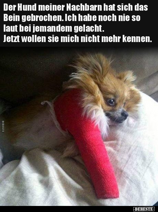 Der Hund meiner Nachbarn hat sich das Bein gebrochen... - Lustige Bilder | DEBESTE.de