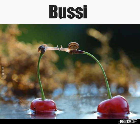 Bussi.. - Lustige Bilder | DEBESTE.de