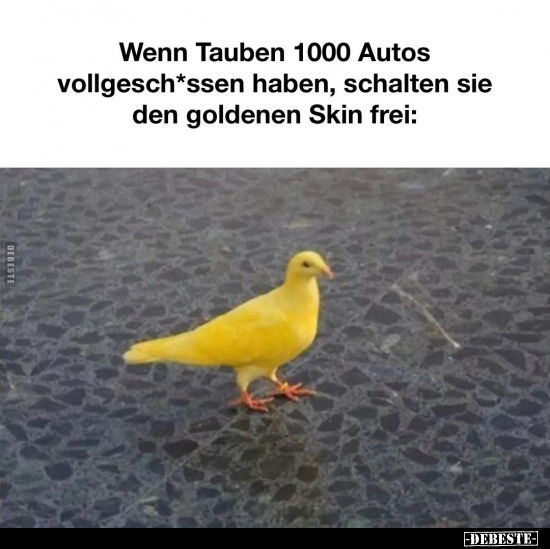 Wenn Tauben 1000 Autos vollgesch*ssen haben.. - Lustige Bilder | DEBESTE.de