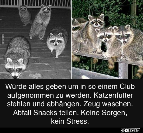 Würde alles geben um in so einem Club aufgenommen.. - Lustige Bilder | DEBESTE.de