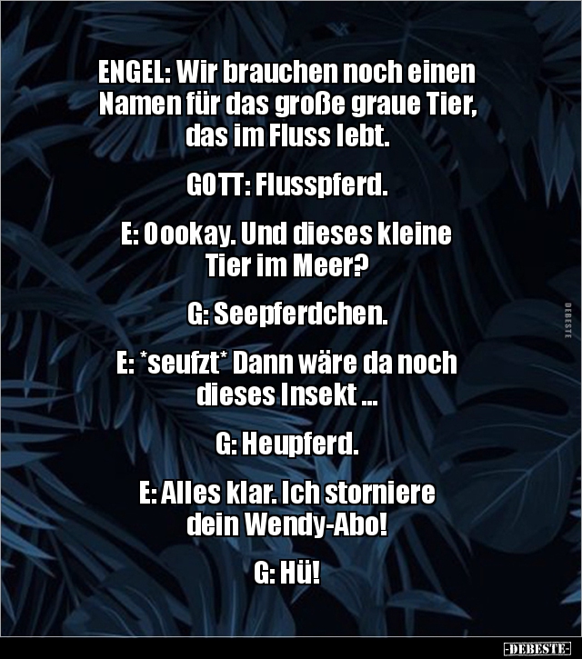 ENGEL: Wir brauchen noch einen Namen für das große graue.. - Lustige Bilder | DEBESTE.de