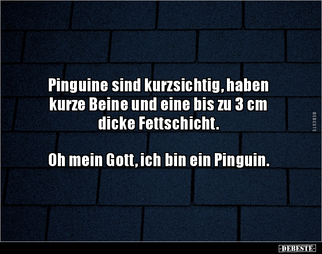 Pinguine sind kurzsichtig, haben kurze Beine und.. - Lustige Bilder | DEBESTE.de