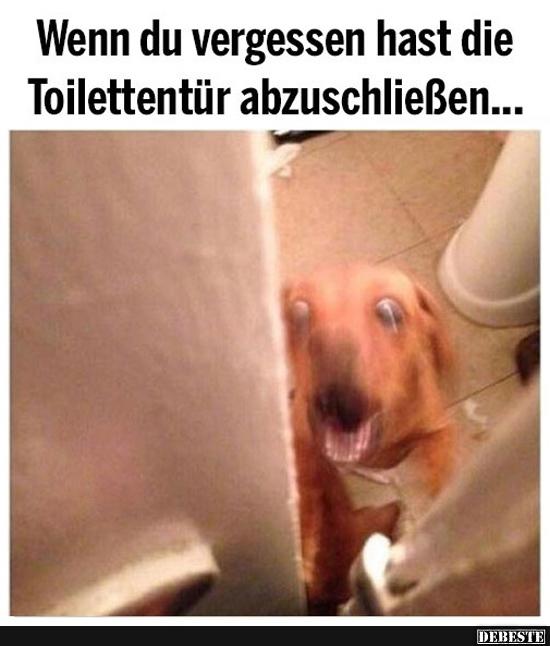 Wenn du vergessen hast die Toilettentür abzuschließen.. - Lustige Bilder | DEBESTE.de