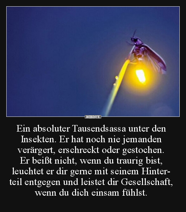 Ein absoluter Tausendsassa unter den Insekten.. - Lustige Bilder | DEBESTE.de
