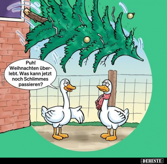 Puh! Weihnachten überlebt. Was kann jetzt noch Schlimmes passieren.. - Lustige Bilder | DEBESTE.de