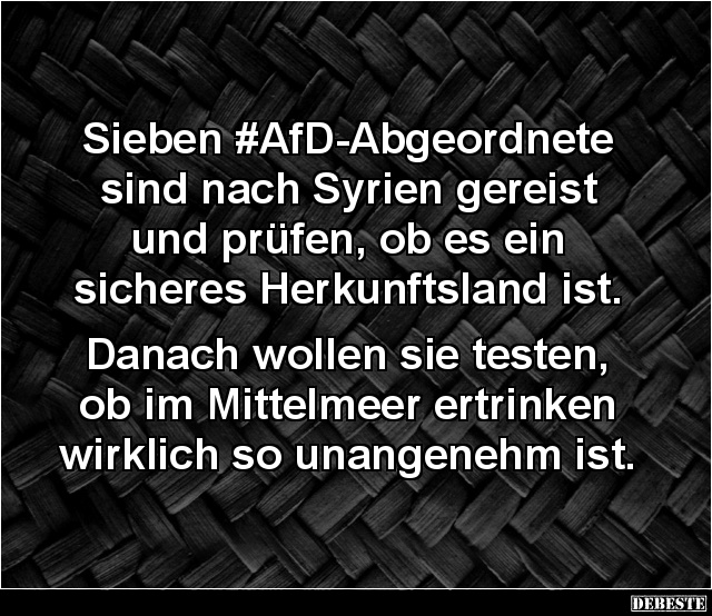 Sieben #AfD-Abgeordnete sind nach Syrien... - Lustige Bilder | DEBESTE.de