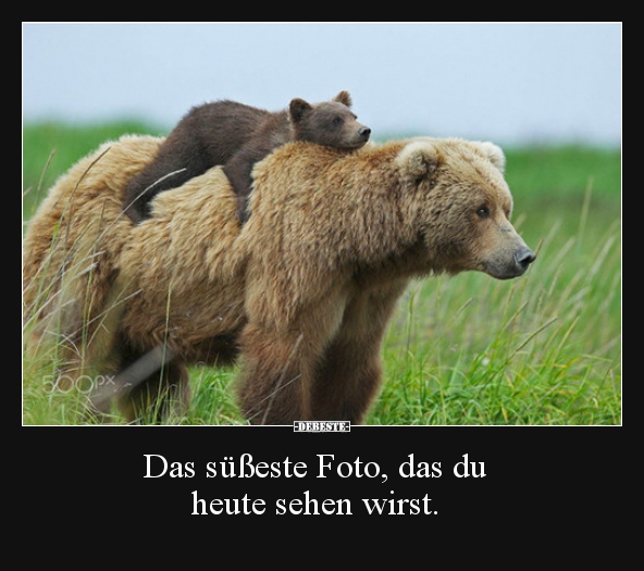 Das süßeste Foto, das du  heute sehen wirst... - Lustige Bilder | DEBESTE.de