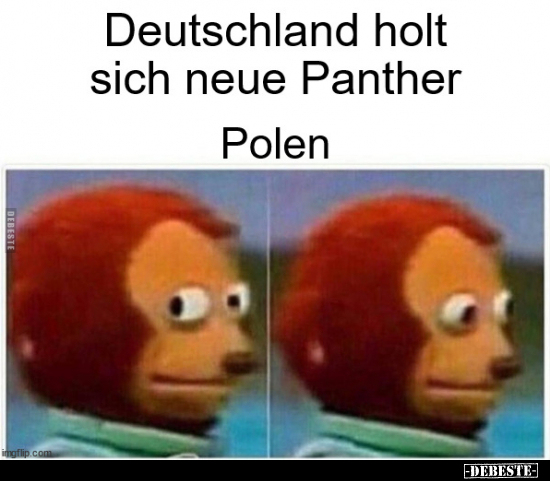 Deutschland holt sich neue Panther.. - Lustige Bilder | DEBESTE.de