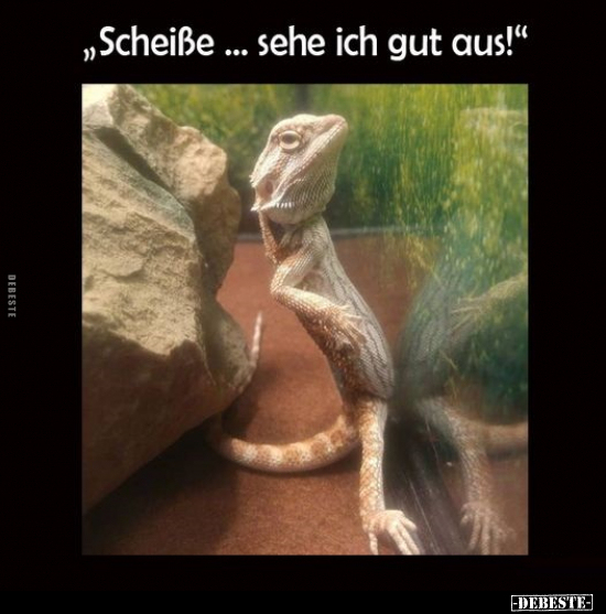 "Schei*ße... sehe ich gut aus!".. - Lustige Bilder | DEBESTE.de