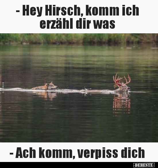 - Hey Hirsch, komm ich erzähl dir was.. - Lustige Bilder | DEBESTE.de
