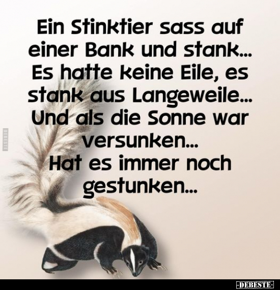 Ein Stinktier sass auf einer Bank und stank... - Lustige Bilder | DEBESTE.de