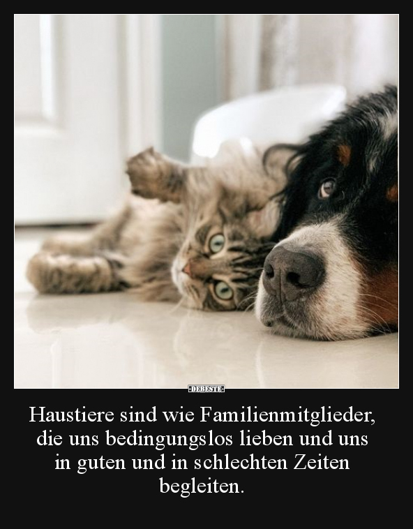 Haustiere sind wie Familienmitglieder.. - Lustige Bilder | DEBESTE.de