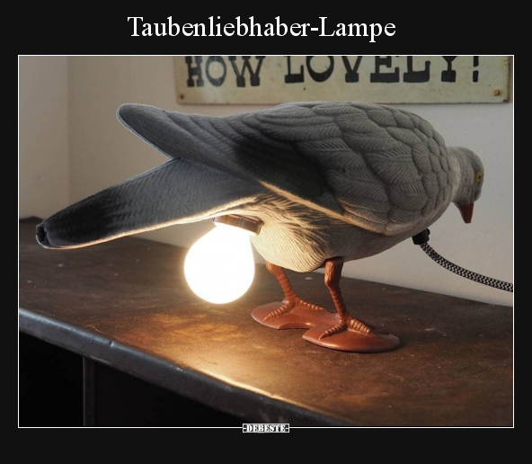 Taubenliebhaber-Lampe.. - Lustige Bilder | DEBESTE.de