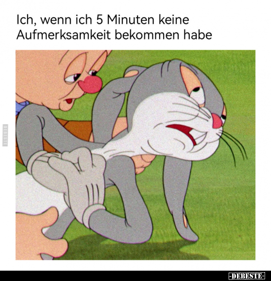 Ich, wenn ich 5 Minuten keine Aufmerksamkeit bekommen.. - Lustige Bilder | DEBESTE.de