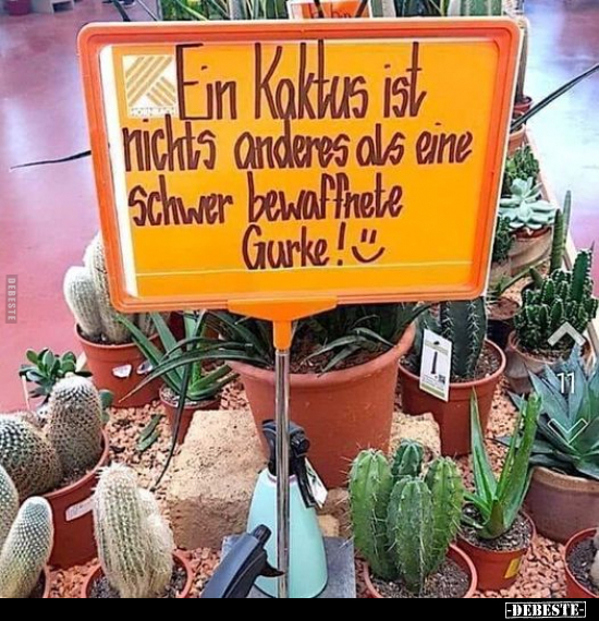Ein Kaktus ist nichts anders als eine schwer bewaffnete.. - Lustige Bilder | DEBESTE.de