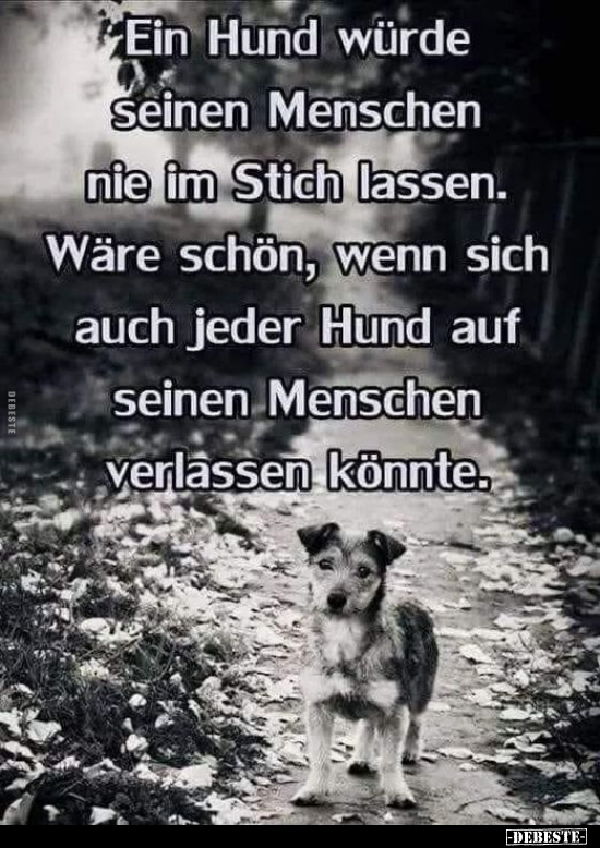 Ein Hund würde seinen Menschen nie im Stich lassen.. - Lustige Bilder | DEBESTE.de
