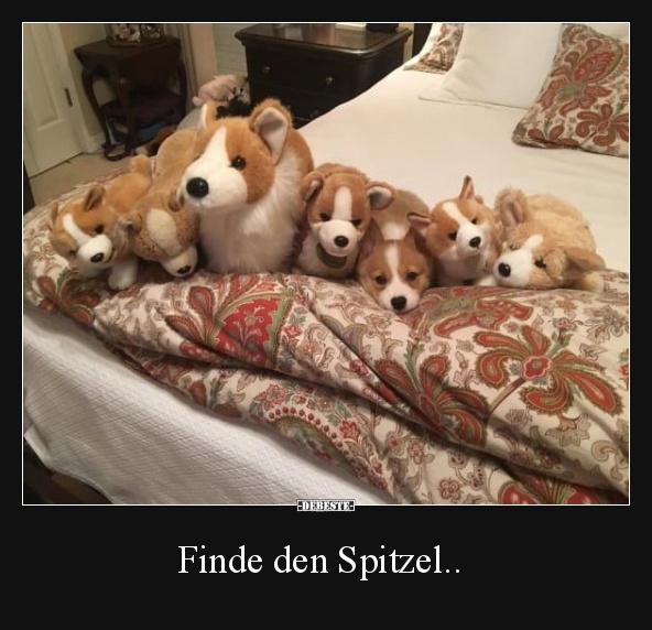 Finde den Spitzel.. - Lustige Bilder | DEBESTE.de