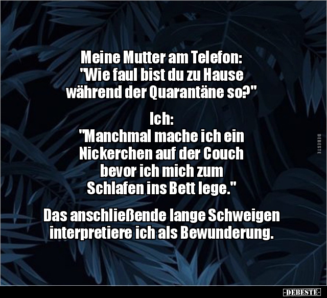 Meine Mutter am Telefon: "Wie faul bist du zu Hause.." - Lustige Bilder | DEBESTE.de