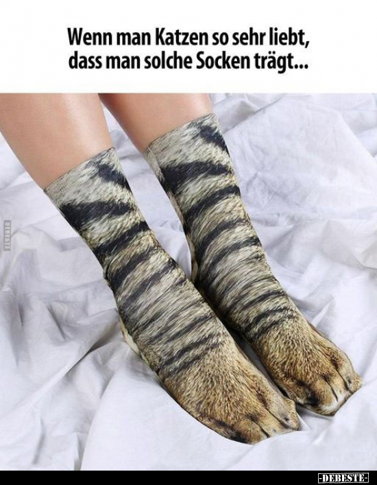 Wenn man Katzen so sehr liebt, dass man solche Socken trägt.. - Lustige Bilder | DEBESTE.de